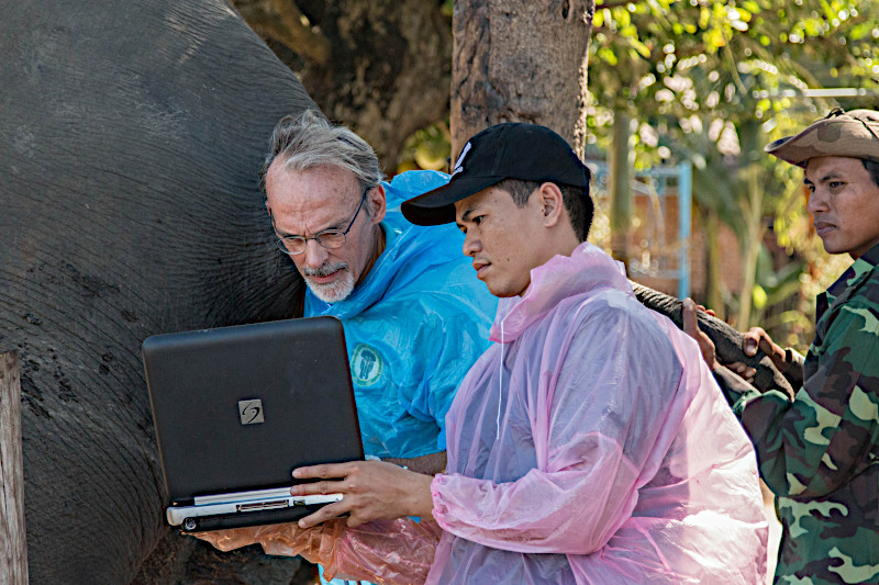 Sonosite e l'ECC lavorano per preservare l'elefante selvatico vietnamita