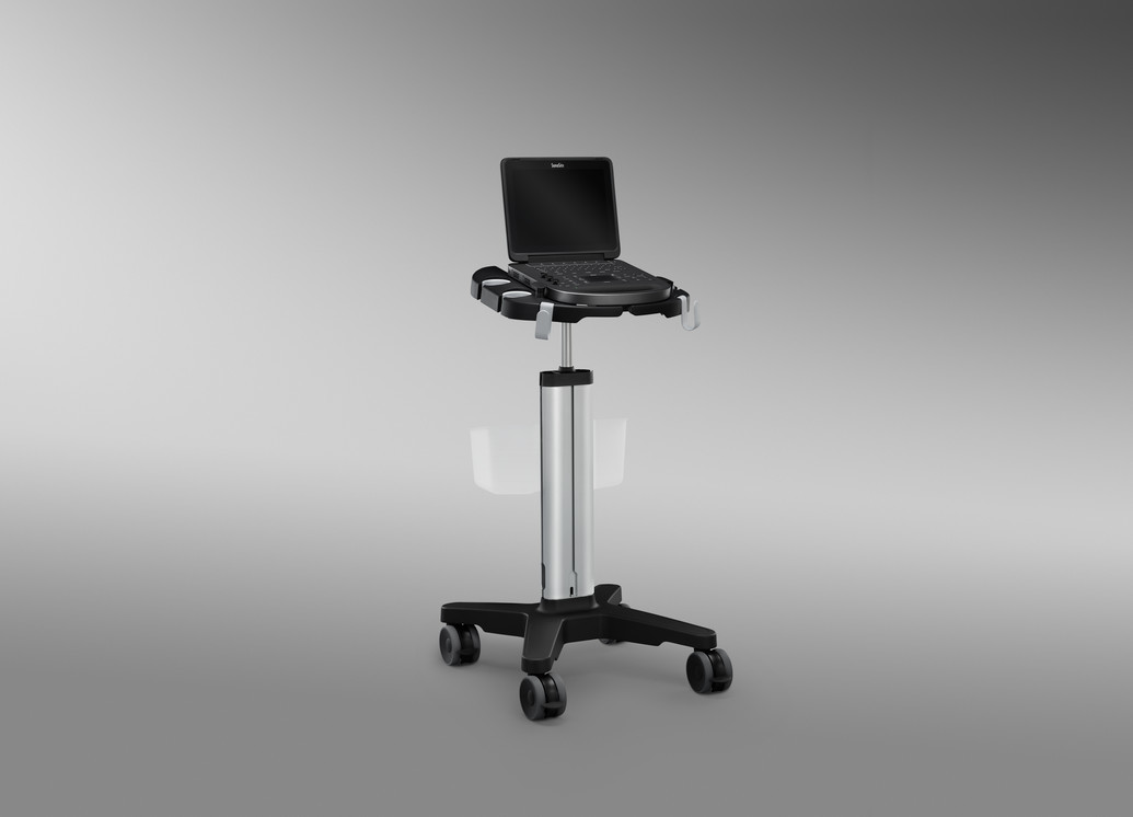 Portable ultrasound system with optional stand, which includes storage basket.