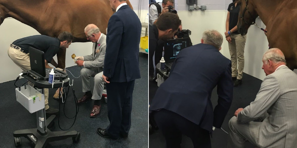 Prince Charles using a Sonosite Edge II