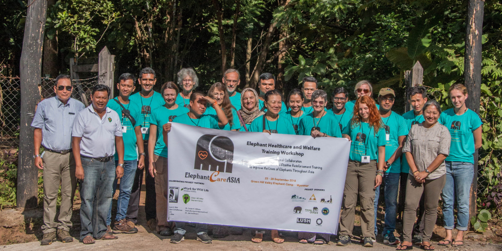 Sonosite blog: Ultrasound for Elephant Medicine