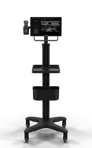 iLOOK Full System on stand