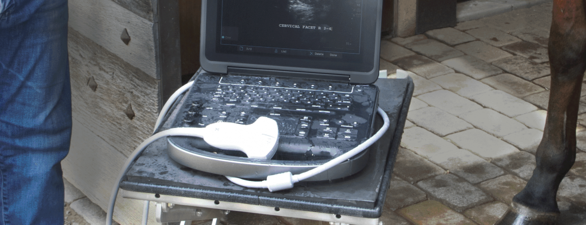 Equine Ultrasound Machine
