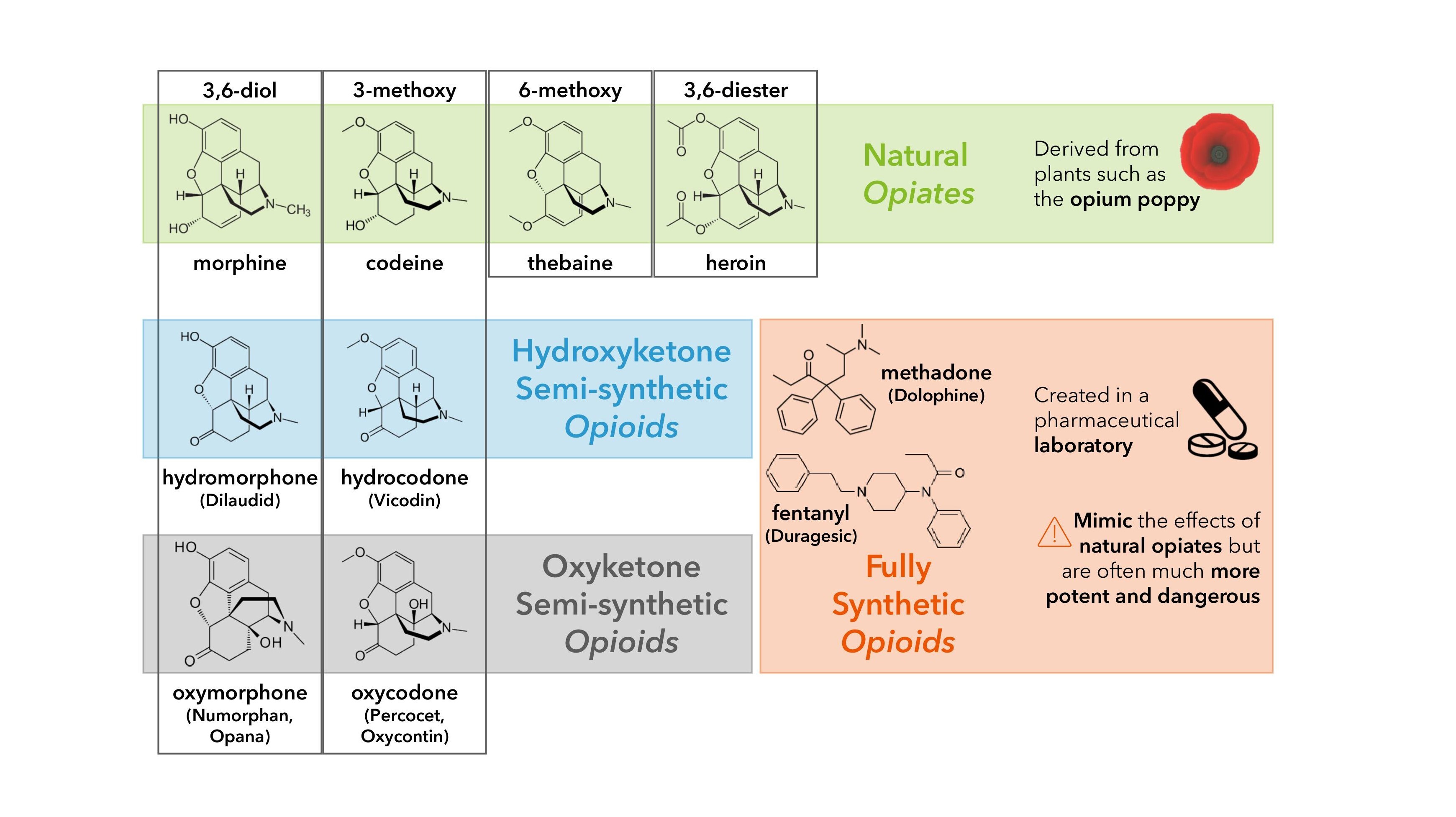 Types of opioids and opiates chart as background information for interscalene nerve blocks