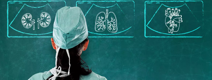 Sign up for Beyond the Block emails, and get no-cost educational guides on getting started with perioperative ultrasound.